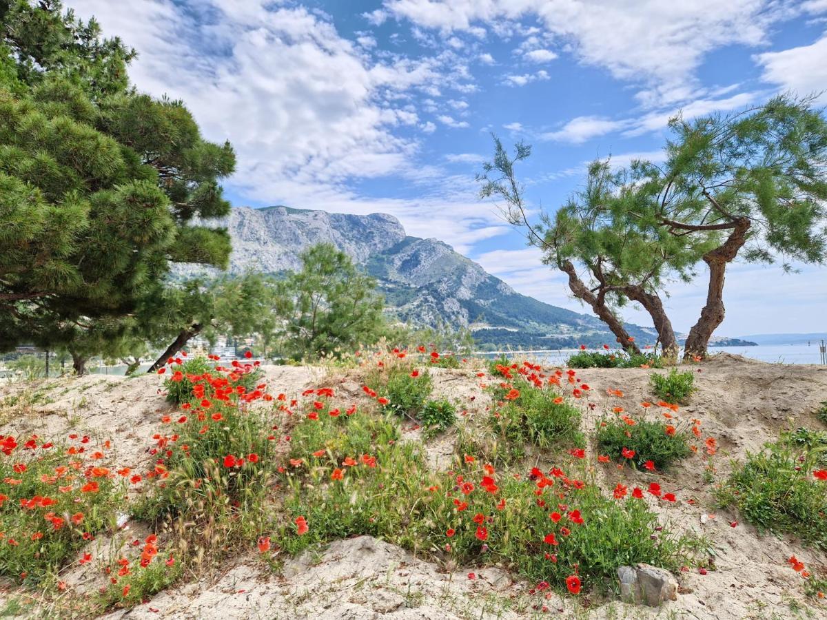 Apartman River Breeze Omiš Εξωτερικό φωτογραφία